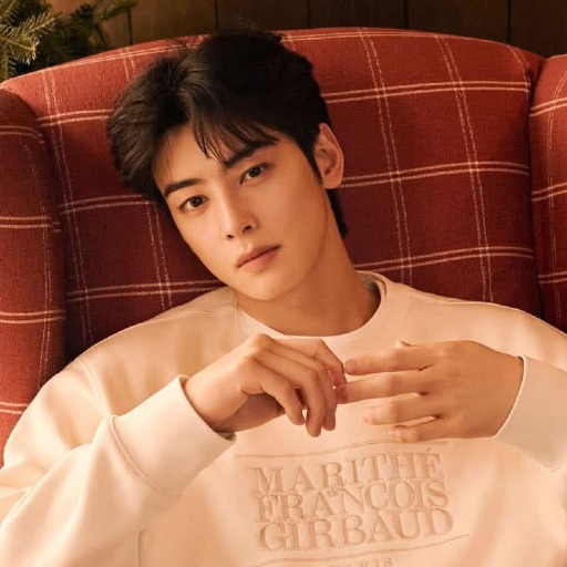 Cha Eunwoo gallery image