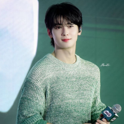 Cha Eunwoo