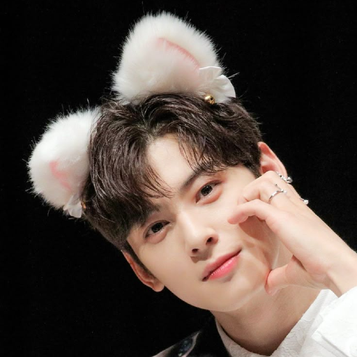 Cha Eunwoo gallery image