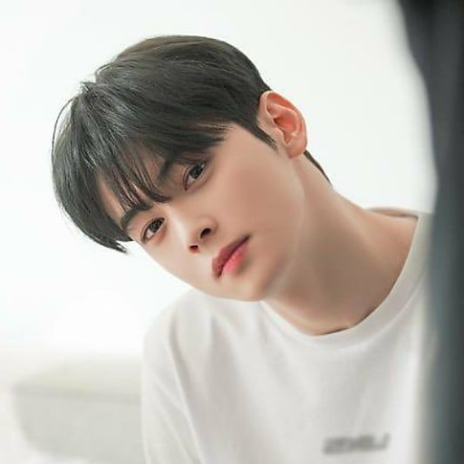 Cha Eunwoo gallery image