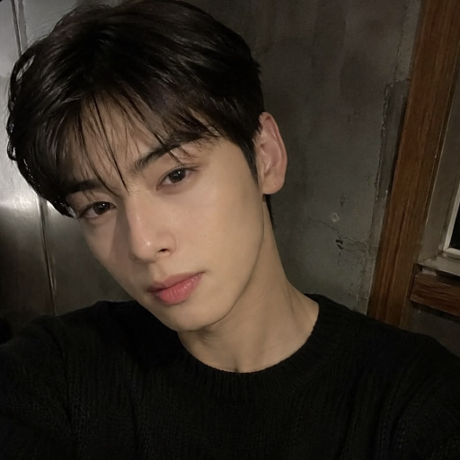 Imagen de la galería de Cha Eunwoo