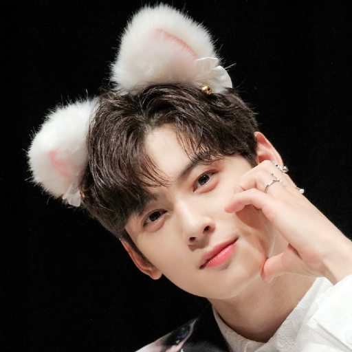Cha Eunwoo gallery image