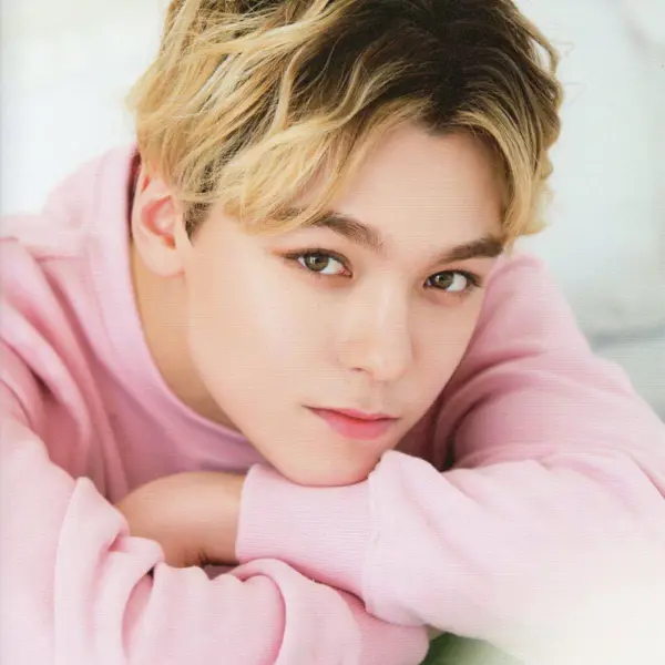 Vernon gallery image