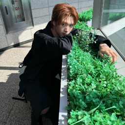 Youngjae gallery image