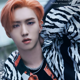 Yewang gallery image