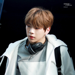 Daniel gallery image