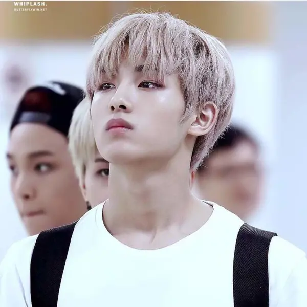 Winwin gallery image
