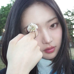 Leesol gallery image