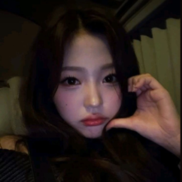 Stella gallery image