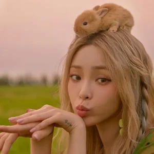 Heize gallery image
