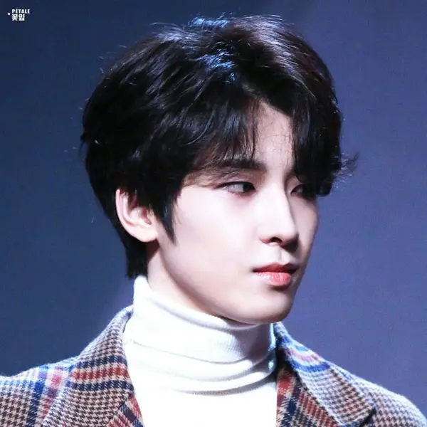 Wonwoo gallery image