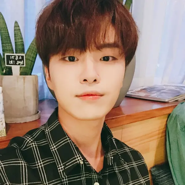 Hajoon 갤러리 이미지