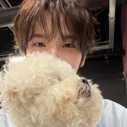 Shinyu gallery image