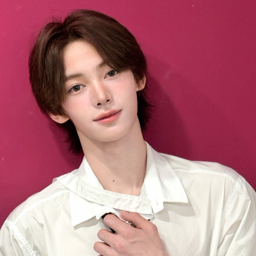 Hanjin gallery image