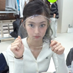 Leesol