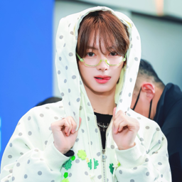 Hanjin gallery image