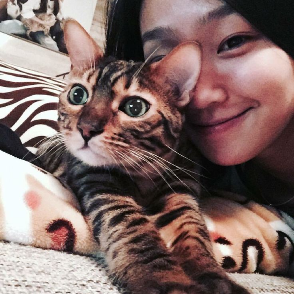 Hyorin 갤러리 이미지
