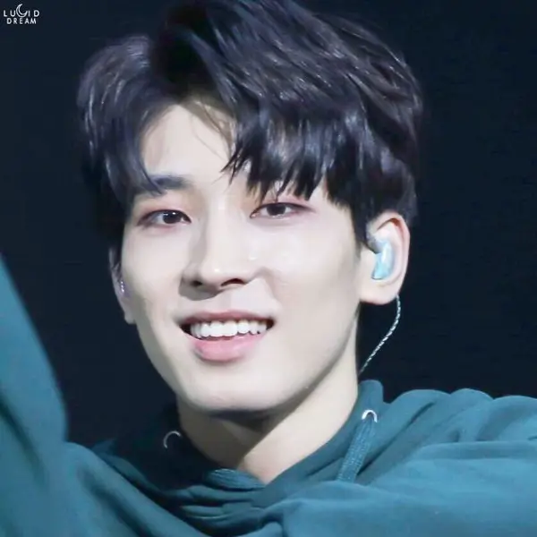 Wonwoo gallery image