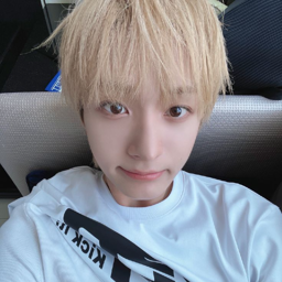 Donghwa gallery image