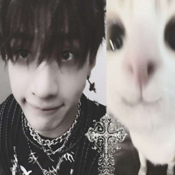 Bang Chan gallery image