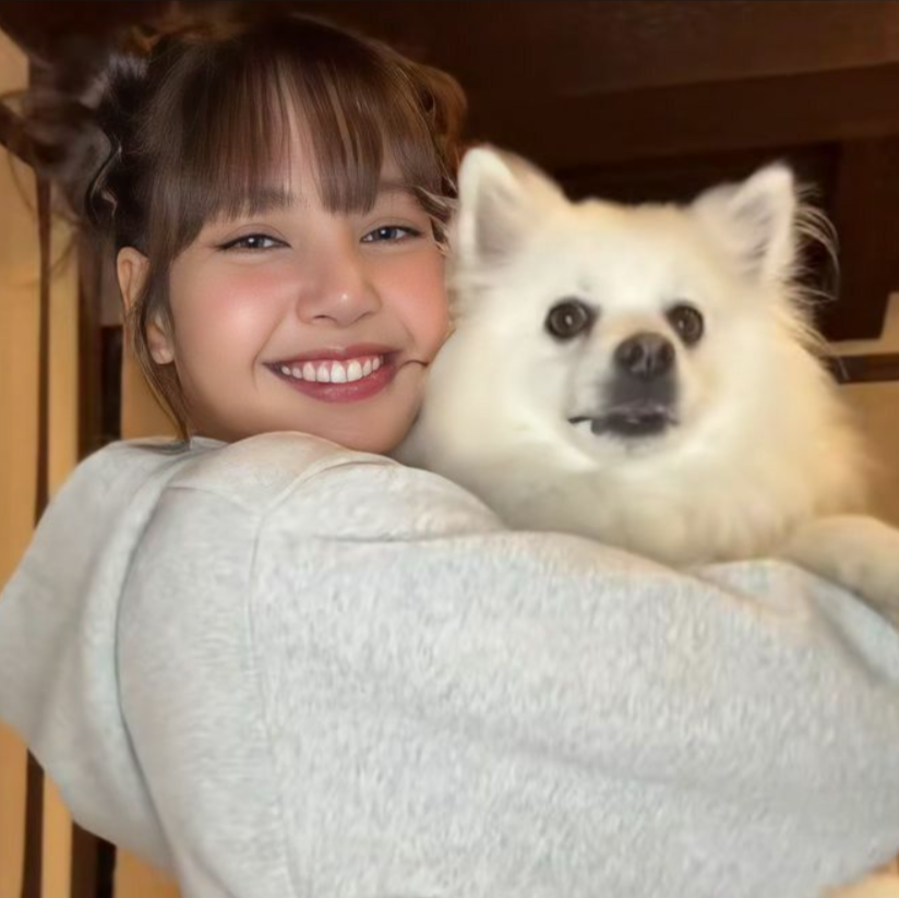Lalisa gallery image