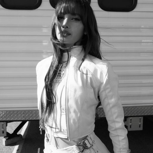 Lalisa galeri görseli
