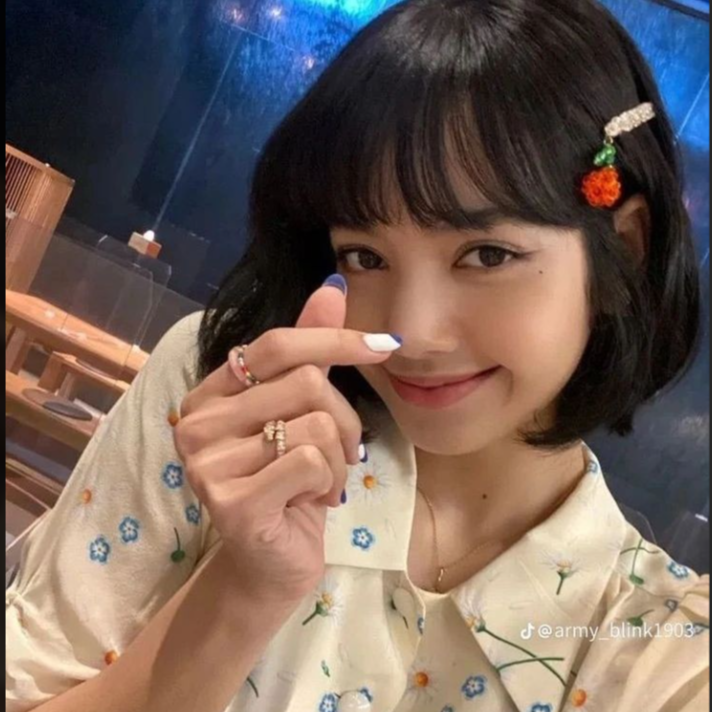 Lalisa gallery image