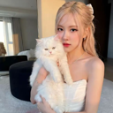 Rosé