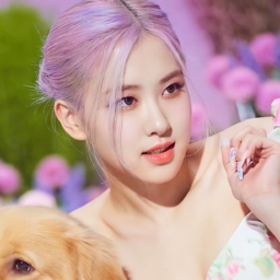 Rosé
