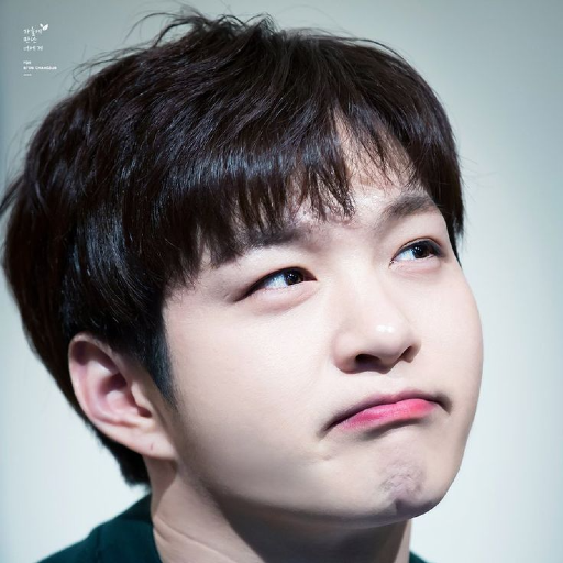 Changsub gallery image