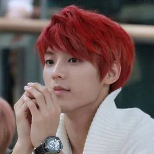 Imej galeri Minhyuk