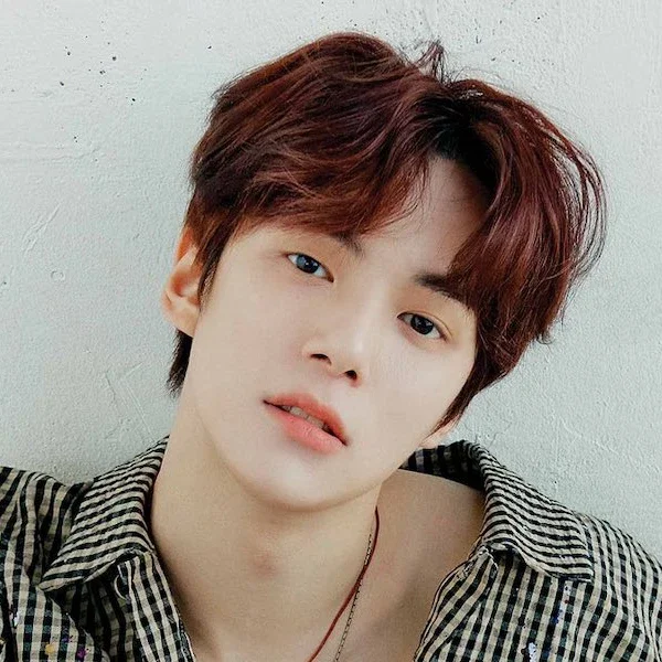 Imej galeri Minhyuk