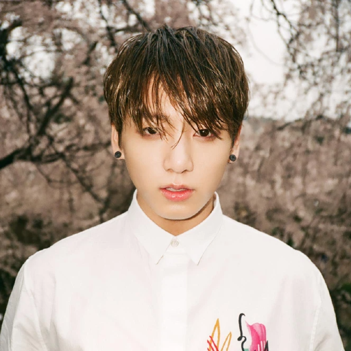 Jungkook gallery image