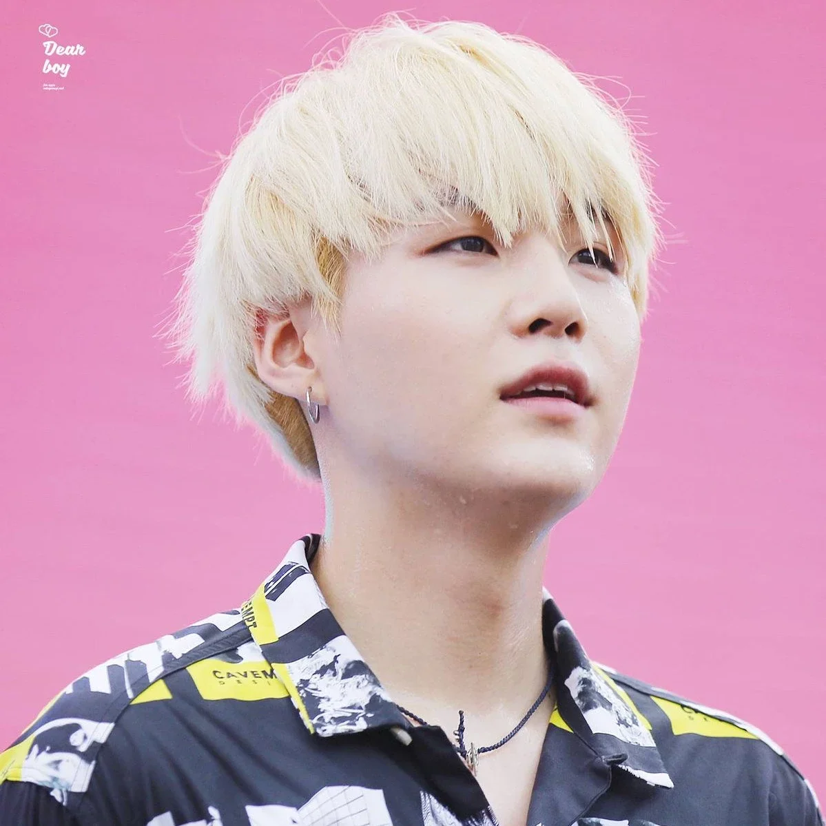 SUGA gallery image