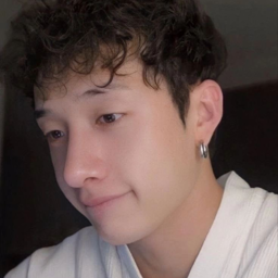 Bang Chan gallery image