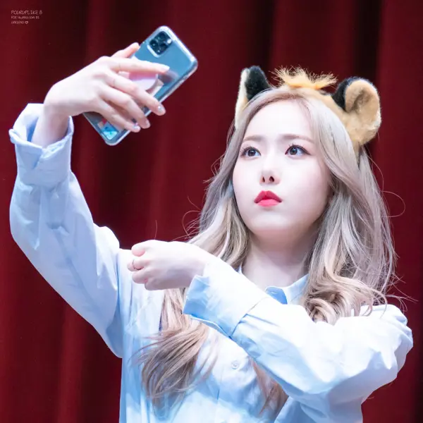 SinB gallery image