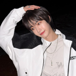 Arctic gallery image