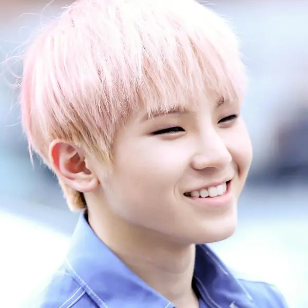 Woozi gallery image