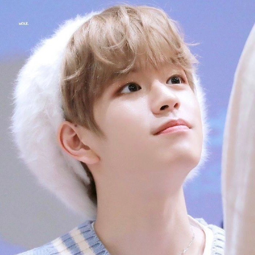 Seungmin