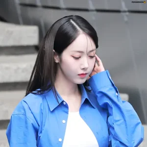 SinB gallery image