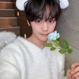 Kim Gyuvin gallery image