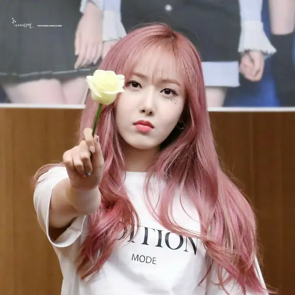 SinB gallery image
