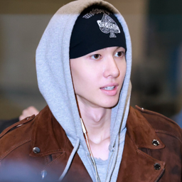 Martin gallery image