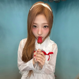 Stella gallery image