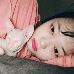 Sulli gallery image