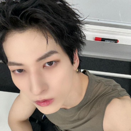 Kinjo Sukai gallery image