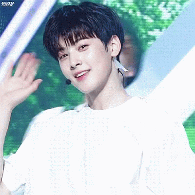 Cha Eunwoo gif
