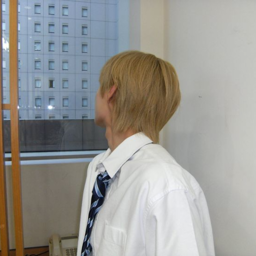 Donghwa gallery image