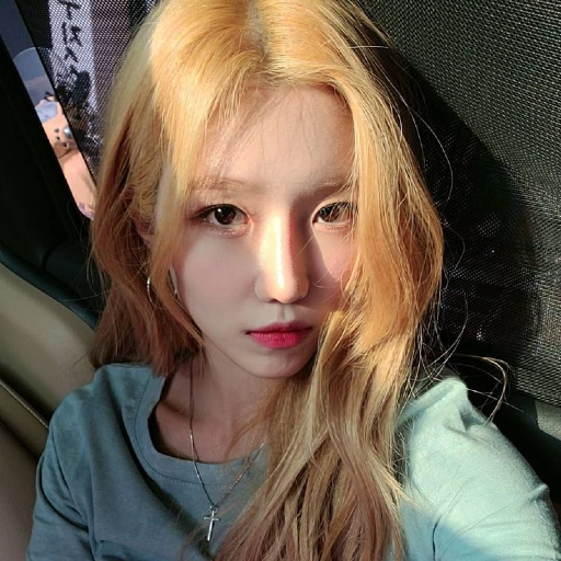 Da Won 갤러리 이미지