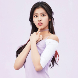 Sana gallery image